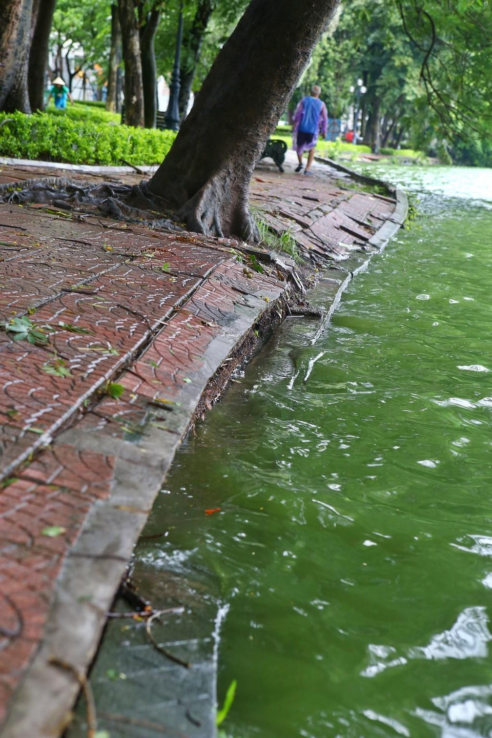 Nhiều vị trí đã mất chân kè dẫn đến hệ thống đường dạo sát mép hồ nhiều điểm bị lún sụt, gây nguy hiểm cho người dân và khách du lịch. (Ảnh: Minh Quyết/TTXVN)