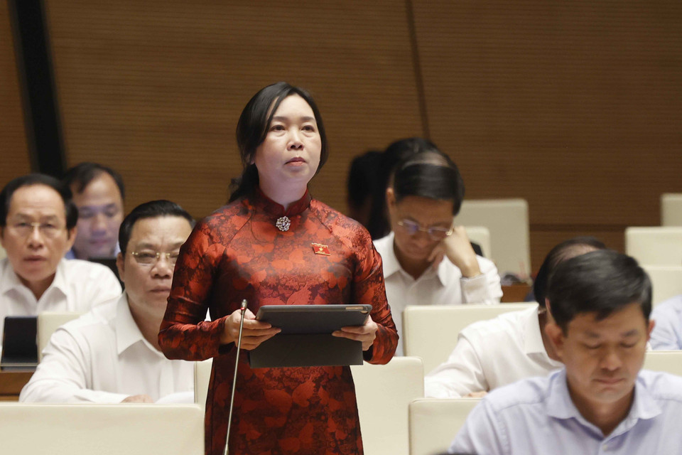 Đại biểu Quốc hội tỉnh Bình Định Lý Tiết Hạnh đặt câu hỏi chất vấn. (Ảnh: Doãn Tấn/TTXVN)