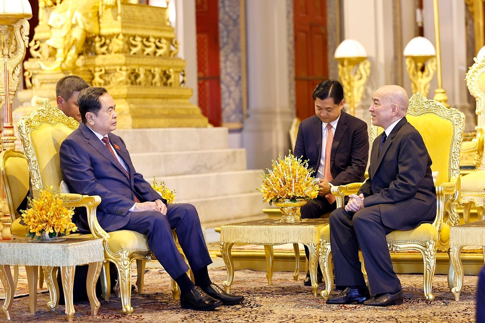 Chủ tịch Quốc hội Trần Thanh Mẫn yết kiến Quốc vương Campuchia Norodom Sihamoni. (Ảnh: Doãn Tấn/TTXVN)