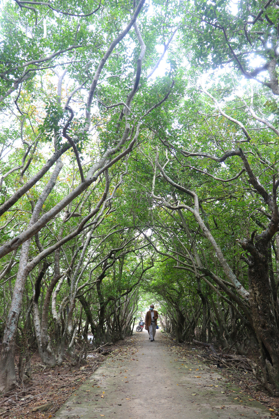  Rú Chá đang là điểm đến thu hút nhiều du khách vì vẻ đẹp hoang sơ và thơ mộng. (Ảnh: Tường Vi/TTXVN)