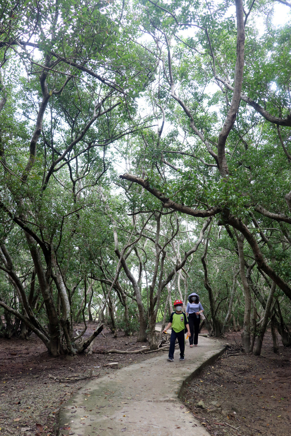 Cảnh đẹp hoang sơ và thơ mộng của Rú Chá đã thu hút khá nhiều người đến tham quan, chụp ảnh. (Ảnh: Tường Vi/TTXVN)