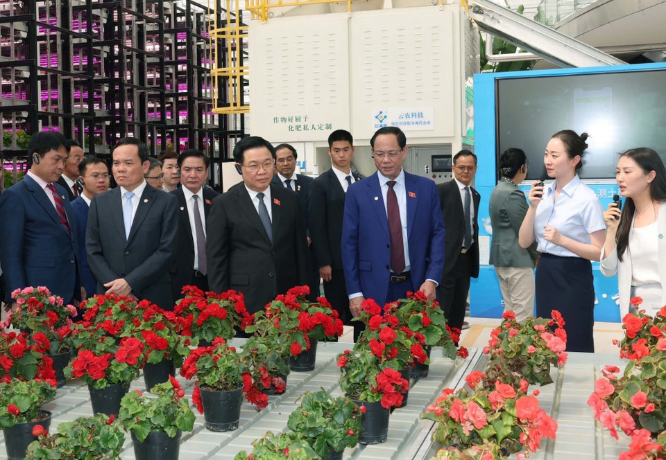 Chủ tịch Quốc hội Vương Đình Huệ thăm dự án tiêu biểu về công nghệ cao tại Trung tâm sáng tạo nông nghiệp xanh Vân Thiên Hóa tỉnh Vân Nam. (Ảnh: Nhan Sáng/TTXVN)
