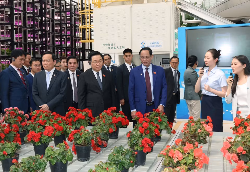Chủ tịch Quốc hội Vương Đình Huệ thăm dự án tiêu biểu về công nghệ cao tại Trung tâm sáng tạo nông nghiệp xanh Vân Thiên Hóa tỉnh Vân Nam. (Ảnh: Nhan Sáng/TTXVN)
