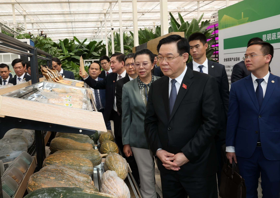 Chủ tịch Quốc hội Vương Đình Huệ thăm dự án tiêu biểu về công nghệ cao tại Trung tâm sáng tạo nông nghiệp xanh Vân Thiên Hóa tỉnh Vân Nam. (Ảnh: Nhan Sáng/TTXVN)