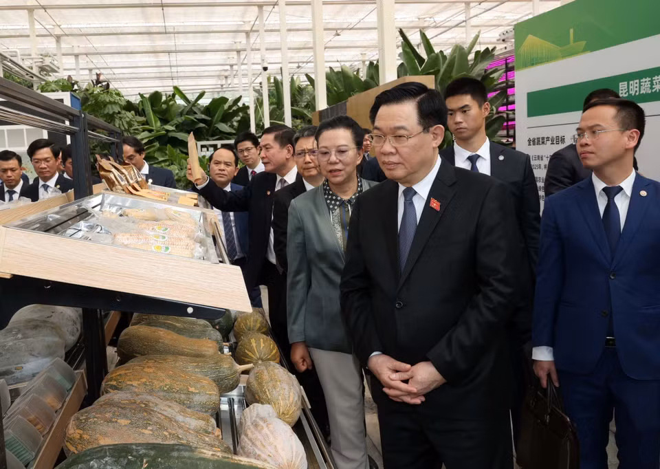 Chủ tịch Quốc hội Vương Đình Huệ thăm dự án tiêu biểu về công nghệ cao tại Trung tâm sáng tạo nông nghiệp xanh Vân Thiên Hóa tỉnh Vân Nam. (Ảnh: Nhan Sáng/TTXVN)