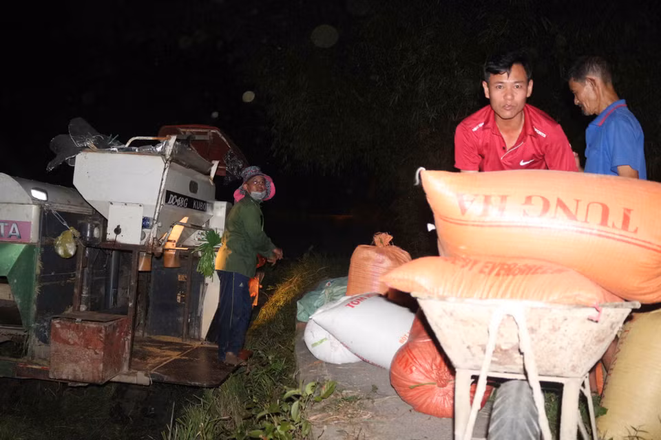 Tại cánh đồng xã Hưng Lộc, thành phố Vinh, vào lúc 20 giờ tối, nhiều gia đình đã đứng chờ chiếc máy gặt đến lượt thu hoạch lúa nhà mình. (Ảnh: Nguyễn Oanh/Vietnam+)
