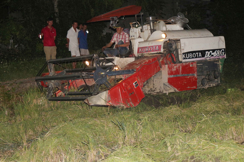 Người cầm đèn pin, điện thoại, có gia đình còn mang cả ấm trà ra cánh đồng để vừa làm việc vừa trò chuyện. (Ảnh: Nguyễn Oanh/Vietnam+)