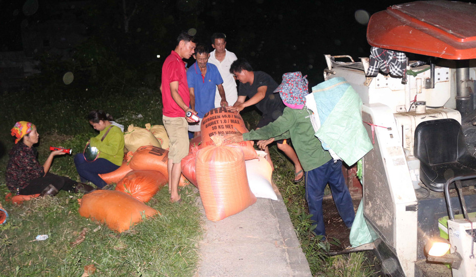Tranh thủ thời gian, nhiều bà con nông dân thuê máy gặp lúa vào ban đêm, vừa để tránh cái nóng, vừa để thu hoạch lúa cho kịp vụ mùa. (Ảnh: Nguyễn Oanh/Vietnam+)