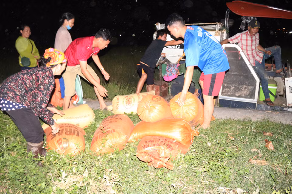 Tranh thủ thời gian, nhiều bà con nông dân thuê máy gặp lúa vào ban đêm, vừa để tránh cái nóng, vừa để thu hoạch lúa cho kịp vụ mùa. (Ảnh: Nguyễn Oanh/Vietnam+)