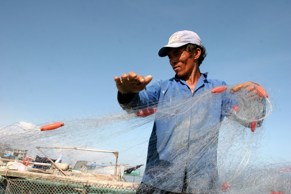 Đi dọc bờ biển, du khách dễ dàng nhìn thấy những người ngư dân giũ lưới, gỡ cá, vá lưới hay gom lưới vào thuyền thúng. (Ảnh: Lưu Văn Đạt/Vietnam+)