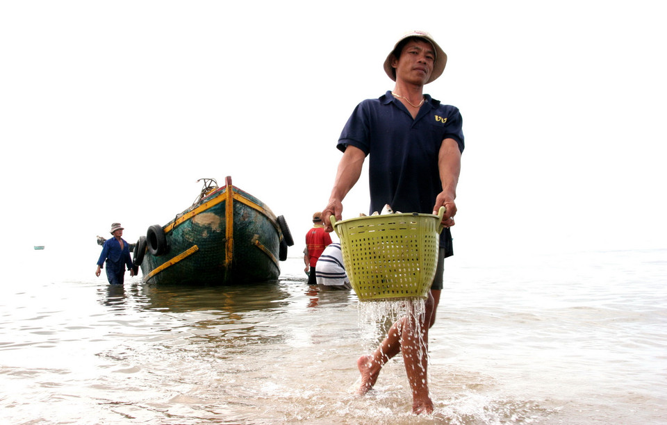 Ngư dân hạnh phúc với chiếc thuyền đầy cá. (Ảnh: Lưu Văn Đạt/Vietnam+)