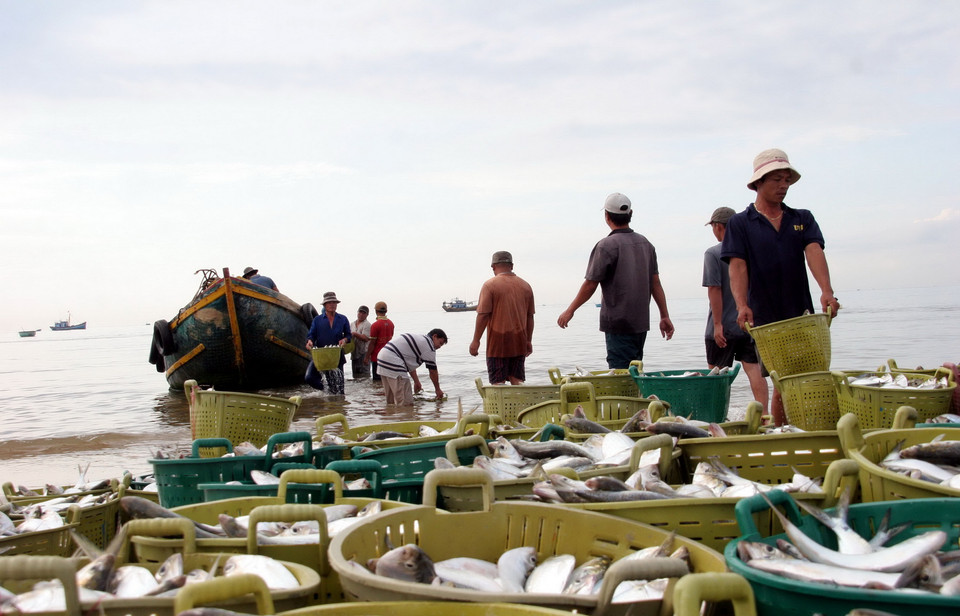 Ngư dân hạnh phúc với chiếc thuyền đầy cá. (Ảnh: Lưu Văn Đạt/Vietnam+)