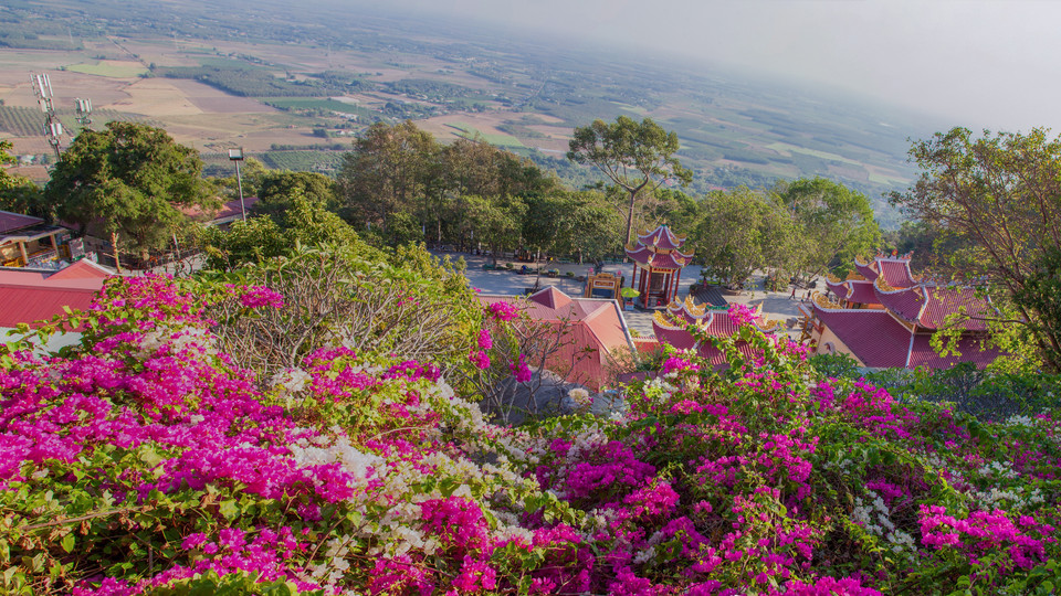 Hoa trồng rộng khắp trong khu du lịch quốc gia núi Bà Đen. (Ảnh: Lê Đức Hoảnh/TTXVN)