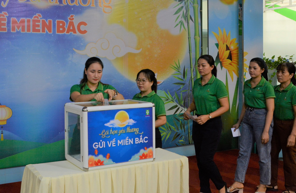 Cán bộ, giáo viên trường Mầm non, Tiểu học và Trung học Cơ sở Đức Trí (thành phố Đà Nẵng) quyên góp ủng hộ người dân các tỉnh phía Bắc bị ảnh hưởng bởi thiên tai. (Ảnh: Văn Dũng/TTXVN)