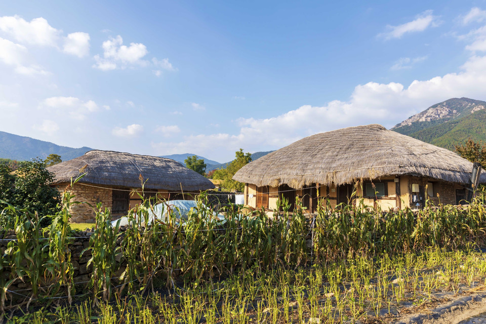 Một căn nhà truyền thống với sân vườn và mái bằng rơm dày đặc trưng ở làng dân gian Naganeupseong.(Ảnh: Anh Nguyên/TTXVN)