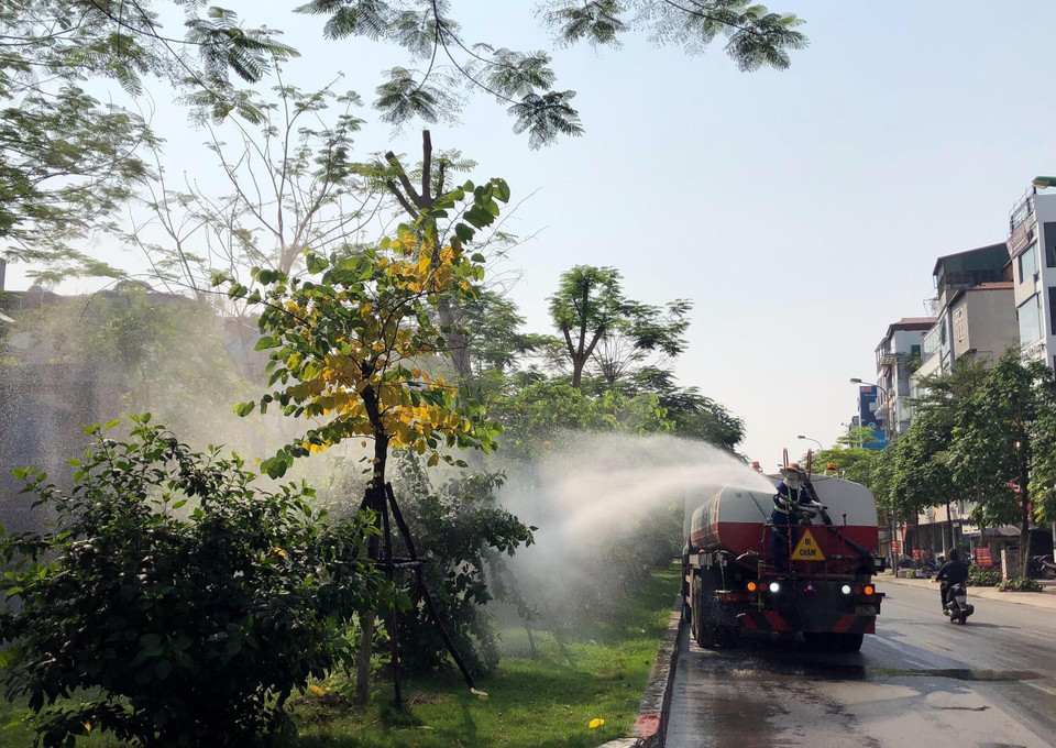Thành phố Hà Nội sẽ tăng cường trồng và chăm sóc cây xanh để hạn chế ô nhiễm. (Ảnh: Huy Hùng/TTXVN)