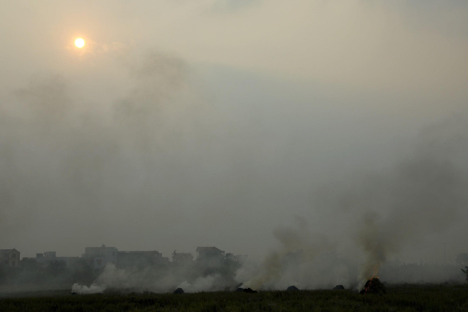 Những ngày này, trên các cánh đồng của các huyện ngoại thành Hà Nội đang bước vào vụ gặt, người dân đốt rơm rạ tại ruộng gây nên cảnh khói trắng dày đặc. (Ảnh: Huy Hùng/TTXVN)