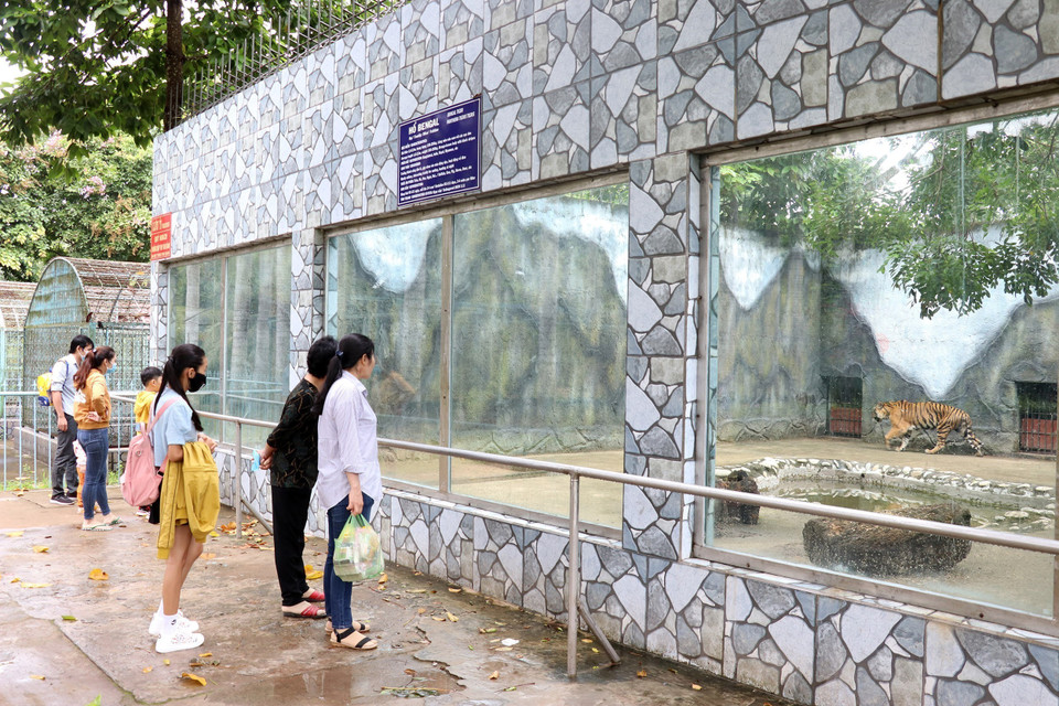 Trại rắn hiện có hơn 400 loài rắn độc đã được nuôi dưỡng và khai thác để lấy nọc phục vụ nhu cầu trong nước và xuất khẩu. Bên cạnh đó, nhiều loại động vật được nuôi tại Trại rắn Đồng Tâm để phục vụ khách tham quan. (Ảnh: Hữu Chí/TTXVN)