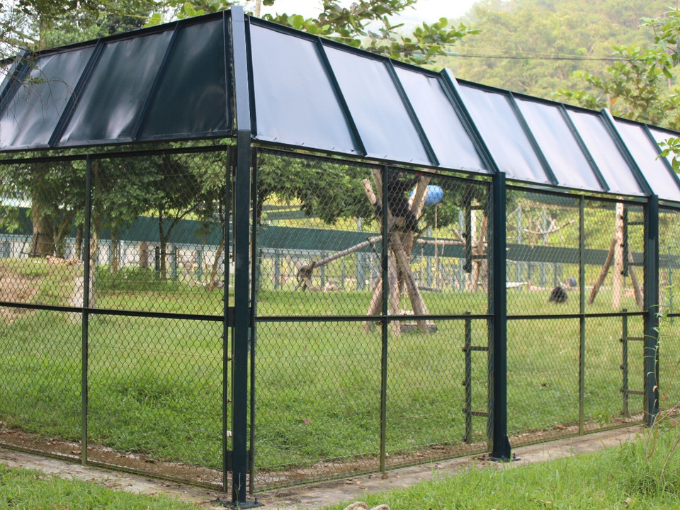 Khuôn viên khu bán hoang dã chăm sóc gấu. (Ảnh: Hùng Võ/Vietnam+) 