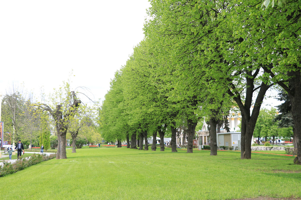 Không gian xanh trong khuôn viên Khu triển lãm về thành tựu kinh tế quốc dân Nga có tổng diện tích lên tới 240 hécta. (Ảnh: Hùng Võ/Vietnam+)