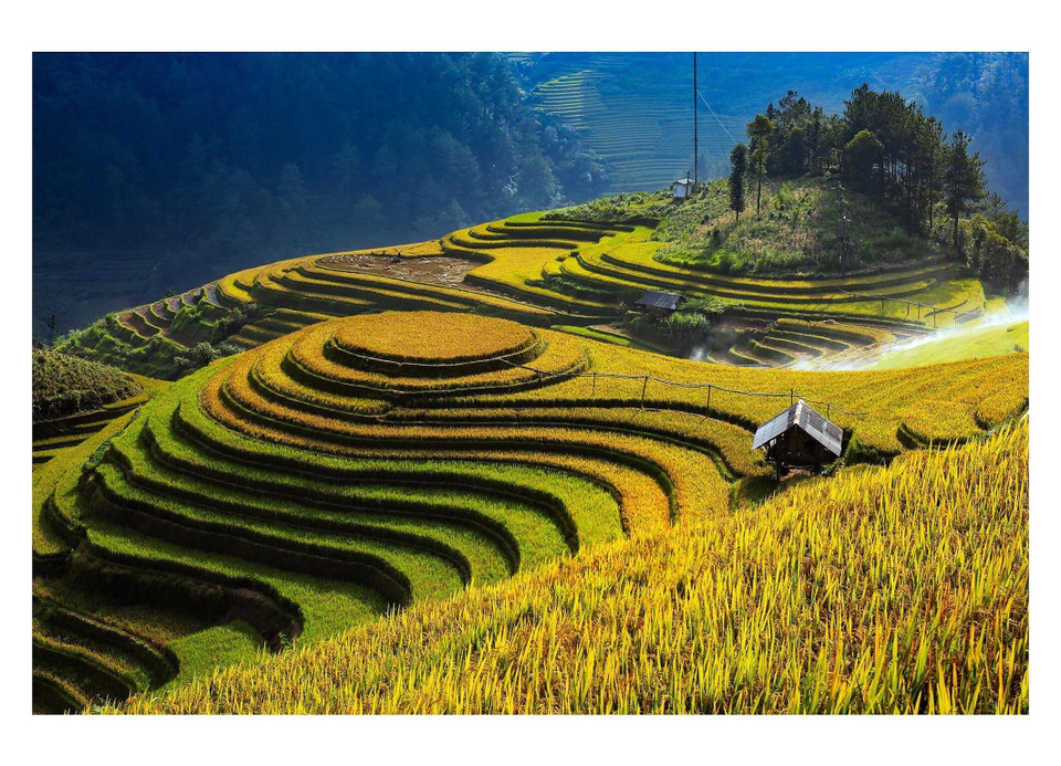 Ruộng bậc thang Mù Cang Chải vào mùa lúa chín. (Ảnh: Đỗ Tuấn Anh/TTXVN)