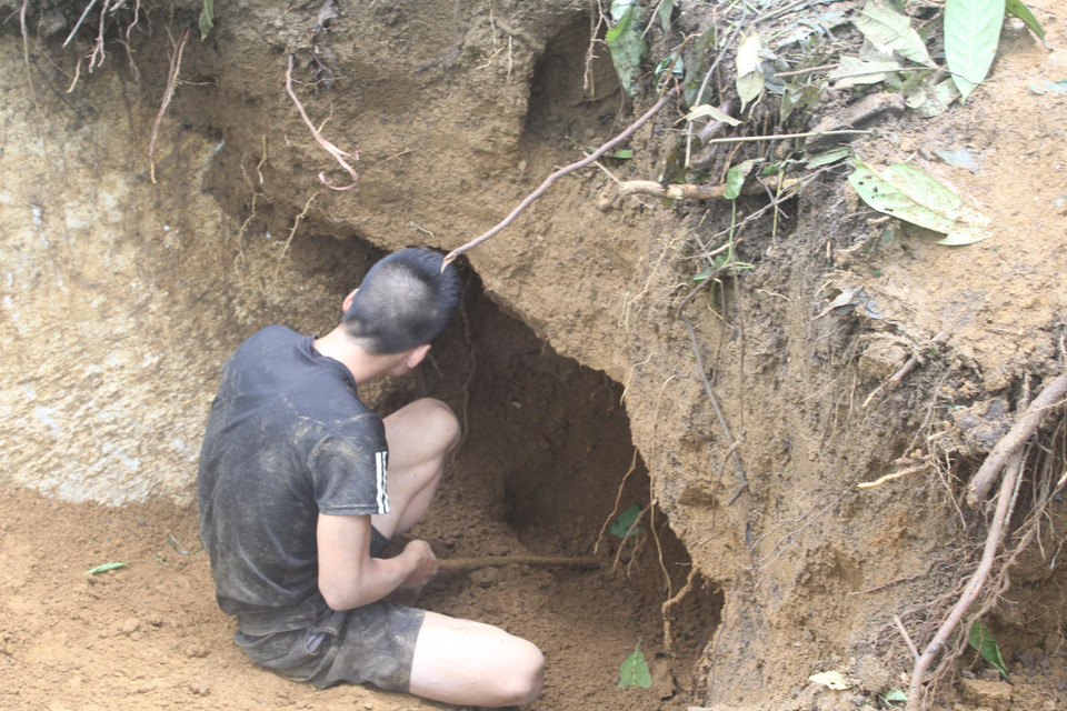 Một người dân ở Lục Yên nỗ lực đào bới tại bãi Bưởi, xã Liễu Đô, huyện Lục Yên với mong muốn tìm được viên đá quý để đổi đời. (Ảnh: Tuấn Anh/TTXVN)