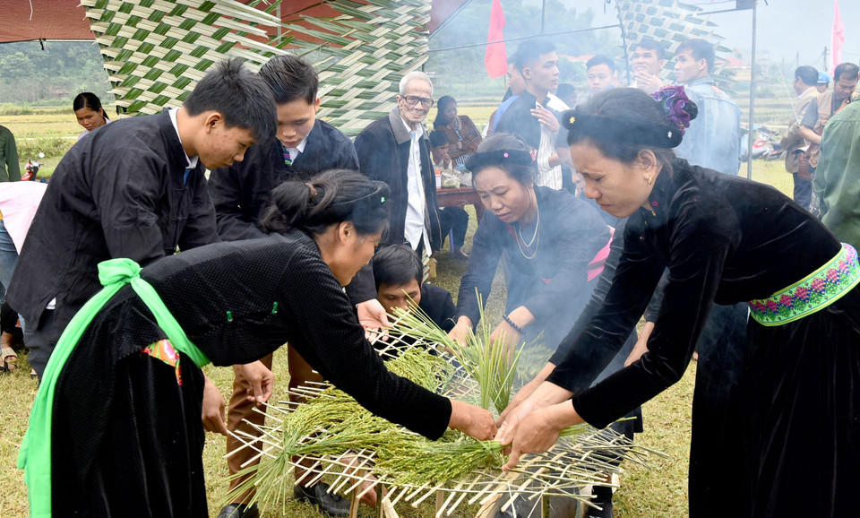 Những khóm lúa được chia nhỏ và đặt lên những vỉ đan bằng tre tươi, sau đó đặt lên miệng lò được lật đi, lật lại liên tục đảm bảo cho hạt lúa nếp được chín đều. (Ảnh: Văn Tý/TTXVN)