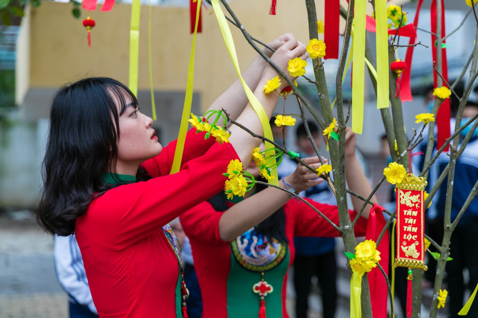 Mõi dịp Tết đến không thể thiếu sắc xuân của cành Mai. (Ảnh: Bích Huệ/TTXVN)