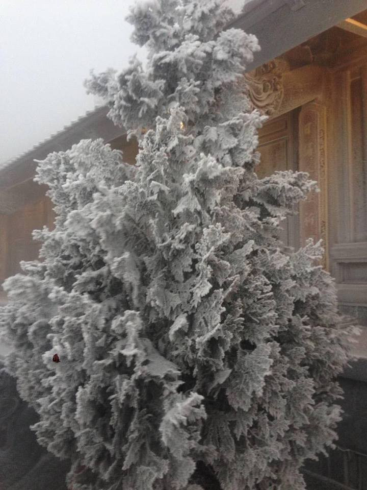 (Ảnh: CTV/Vietnam+)