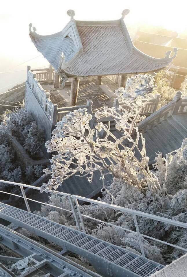 Một hình ảnh không thường thấy tại Việt Nam. (Nguồn: CTV/Vietnam+)