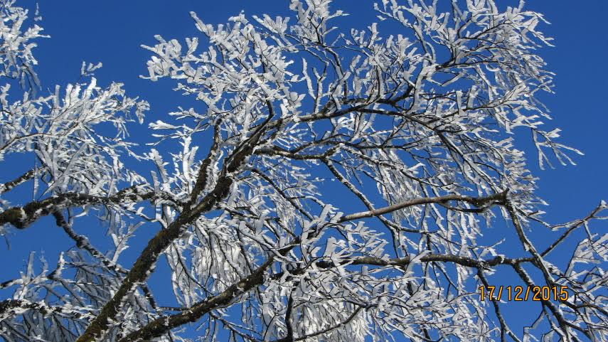 Băng tuyết trên đỉnh Phja Oắc. (Ảnh: Vietnam+)