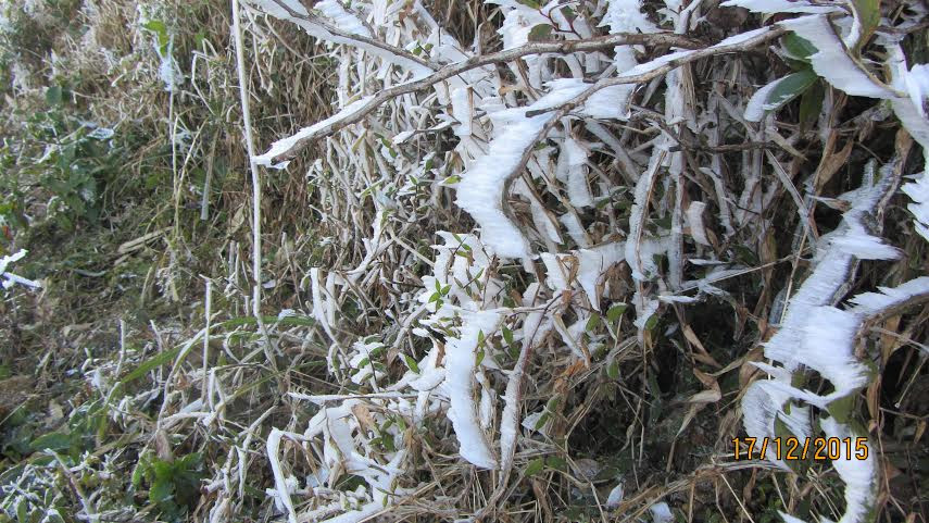 Đỉnh Phja Oắc cao 1.935m so với mực nước biển, là đỉnh núi cao thứ hai ở Cao Bằng. (Ảnh: Vietnam+)