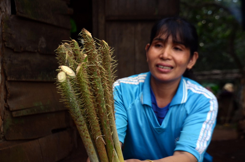 Nguyên liệu bao gồm các sản phẩm đặc trưng của núi rừng Tây nguyên như lá bép (rau nhíp), đọt mây, cá suối… (Ảnh: Hưng Thịnh/TTXVN)