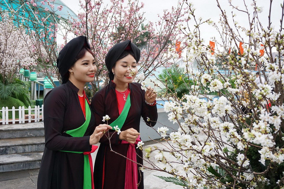 Khách tham quan Triển lãm. (Ảnh: Diệp Trương/TTXVN)