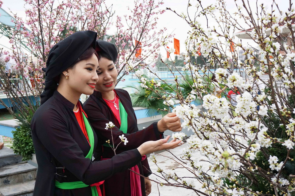 Khách tham quan Triển lãm. (Ảnh: Diệp Trương/TTXVN)