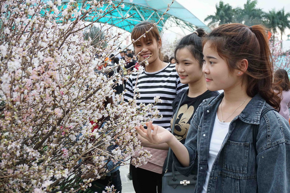 Khách tham quan Triển lãm. (Ảnh: Diệp Trương/TTXVN)