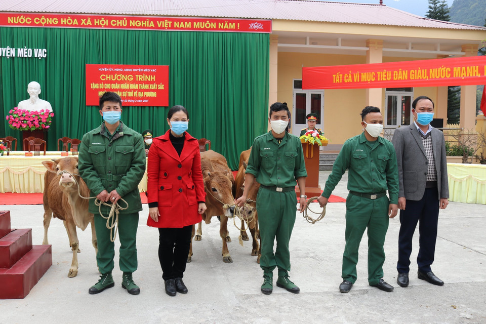 Ông Vương Ngọc Hà, Bí thư Huyện ủy Mèo Vạc (thứ 2 bên trái) và đồng chí Nguyễn Cao Cường (ngoài cùng phía trái ảnh) Chủ tịch UBND huyện Mèo Vạc, trao bò giống cho quân nhân hoàn thành xuất sắc nghĩa vụ trở về địa phương. (Ảnh: Nguyễn Chiến/TTXVN)