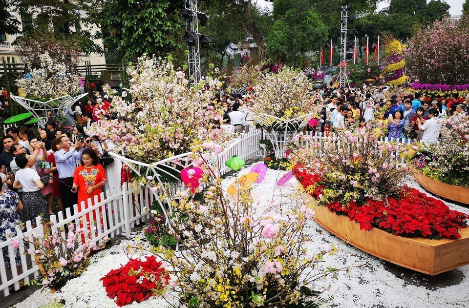 Với vị thế là Thành phố vì hòa bình Hà Nội đã thực sự thu hút hàng triệu du khách cả trong nước và quốc tế đến tham quan, thưởng ngoạn. Trong ảnh: Lễ hội hoa Anh đào Nhật Bản được tổ chức thường niên, không chỉ thể hiện mối quan hệ hữu nghị giữa thủ đô hai nước Việt Nam-Nhật Bản mà còn toát lên hình ảnh một Thủ đô đang từng ngày phát triển và hội nhập, thu hút rất đông du khách trong nước và quốc tế. (Ảnh: Thanh Tùng/TTXVN)