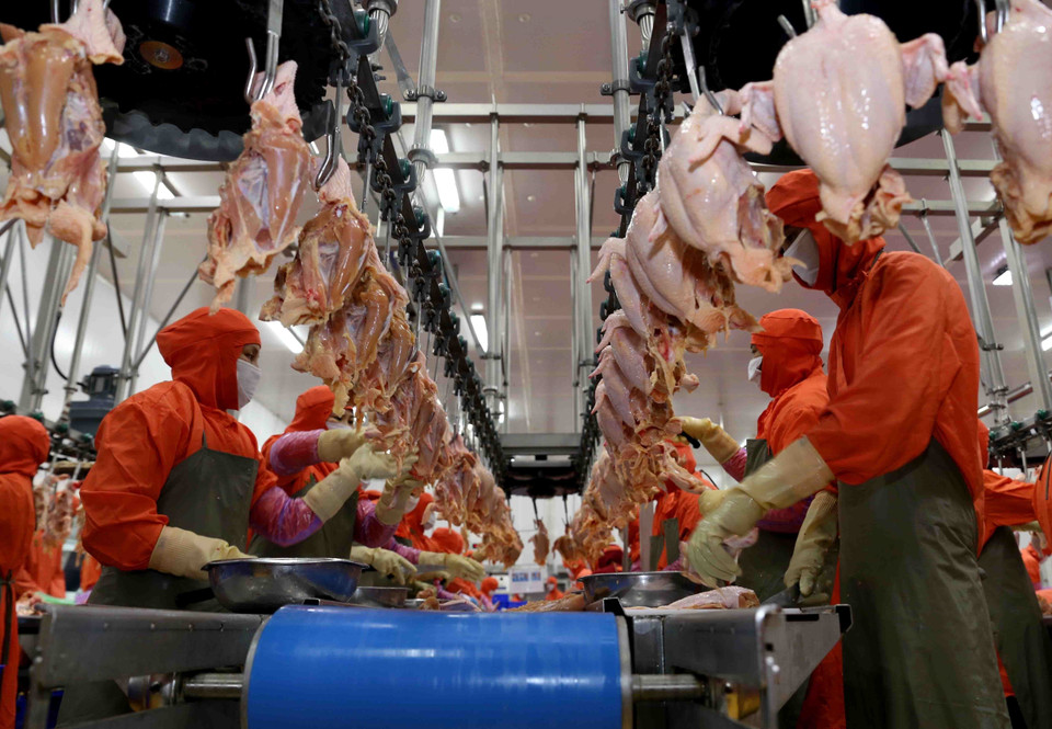 Chế biến thực phẩm tại Nhà máy chế biến thực phẩm C.P Hà Nội (Công ty Cổ phần chăn nuôi C.P Việt Nam). (Ảnh: Vũ Sinh/TTXVN)