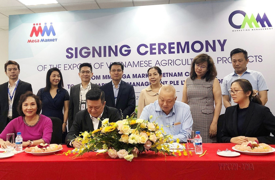 Ký kết hợp tác giữa Công ty TNHH MM Mega Market Việt Nam và Công ty CMM Marketing Management PTE LTD Singapore (TP Hồ Chí Minh, 21/8/2019). (Ảnh: Mỹ Phương/TTXVN)