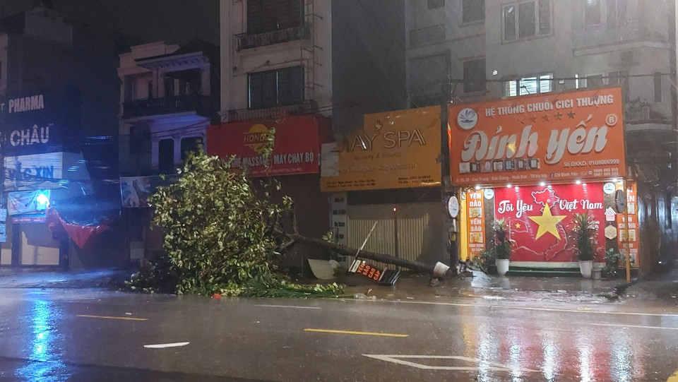 Cây đổ ở thị trấn Đan Phượng, Hà Nội (Ảnh chụp lúc 20h10).(Ảnh: Văn Điệp/TTXVN)