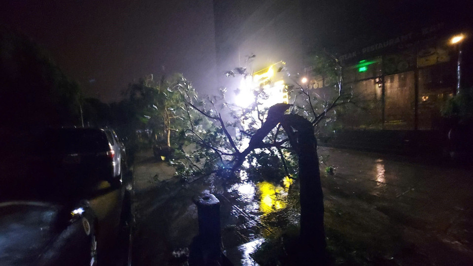 Cây trên dải phân cách Quốc lộ 32 qua huyện Đan Phượng bị gãy đổ (ảnh chụp lúc 20g10). (Ảnh: Văn Điệp/TTXVN)