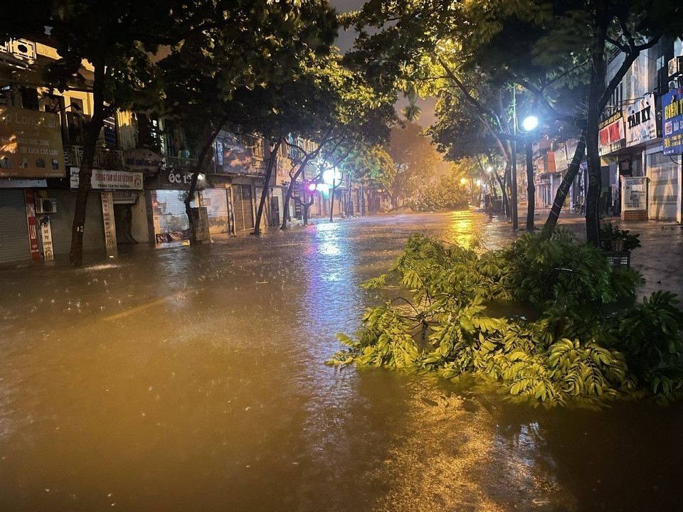 Phố Ngọc Lâm, quận Long Biên ngập úng cục bộ kèm theo hàng loạt cây đổ (Ảnh chụp lúc 20h12'). (Ảnh: An Đăng/TTXVN)