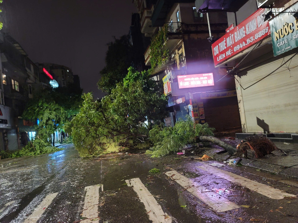 Cây đổ la liệt trên phố Lạc Trung, quận Hai Bà Trưng (ảnh chụp lúc 21h50). (Ảnh: Doãn Tấn/TTXVN)