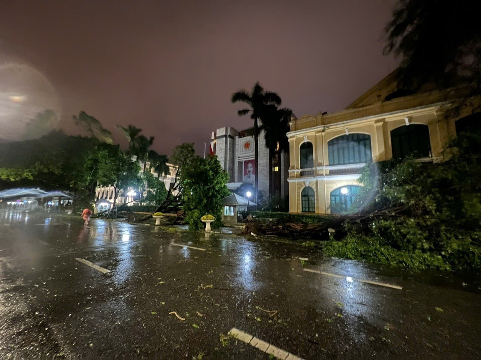 Cây xanh trước cửa trụ sở UBND thành phố Hà Nội trên phố Đinh Tiên Hoàng, quận Hoàn Kiếm bị ngã đổ (ảnh chụp lúc 22h05). (Ảnh: Phạm Kiên/TTXVN)