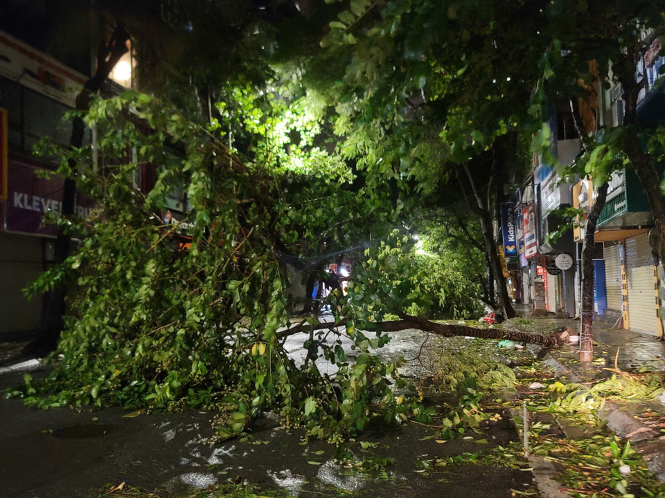 Cây đổ la liệt trên phố Lạc Trung, quận Hai Bà Trưng (ảnh chụp lúc 21h50). (Ảnh: Doãn Tấn/TTXVN)