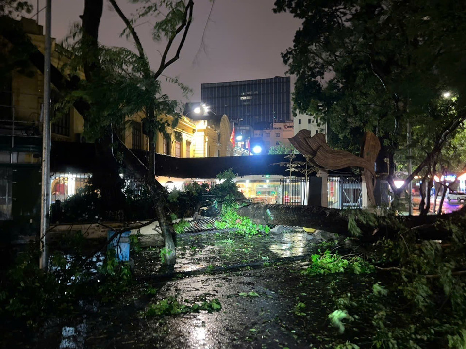 Cây xanh gãy đổ trên phố Tràng Tiền (ảnh chụp lúc 22h). (Ảnh: Phạm Kiên/TTXVN)