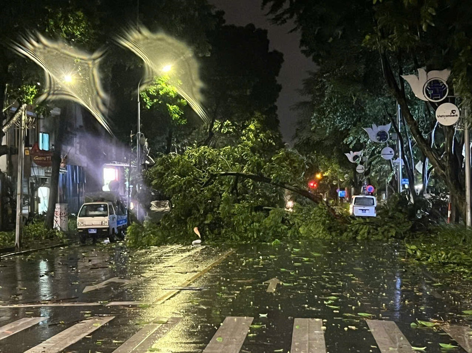 Cây xanh gãy đổ trên phố Đinh Tiên Hoàng (ảnh chụp lúc 22h05). (Ảnh: Phạm Kiên/TTXVN)
