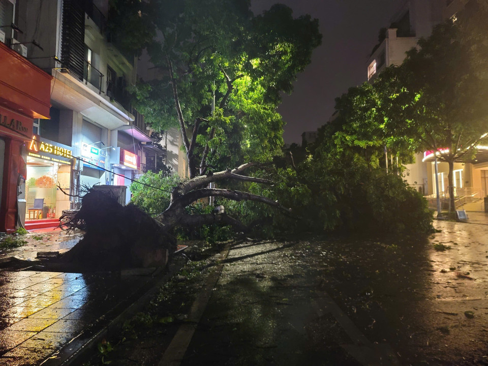 Cây đổ trên phố Lò Đúc (ảnh chụp lúc 22h10). (Ảnh: Doãn Tấn/TTXVN)