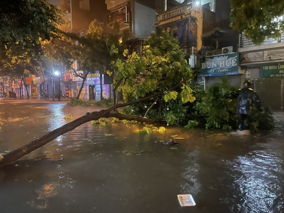 Phố Ngọc Lâm, quận Long Biên ngập úng cục bộ kèm theo hàng loạt cây đổ (Ảnh chụp lúc 20h12'). (Ảnh: An Đăng/TTXVN)